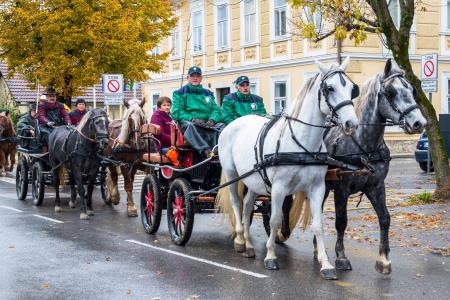 Konjeniški pohod Konjerejskega društva Radohova vas 11